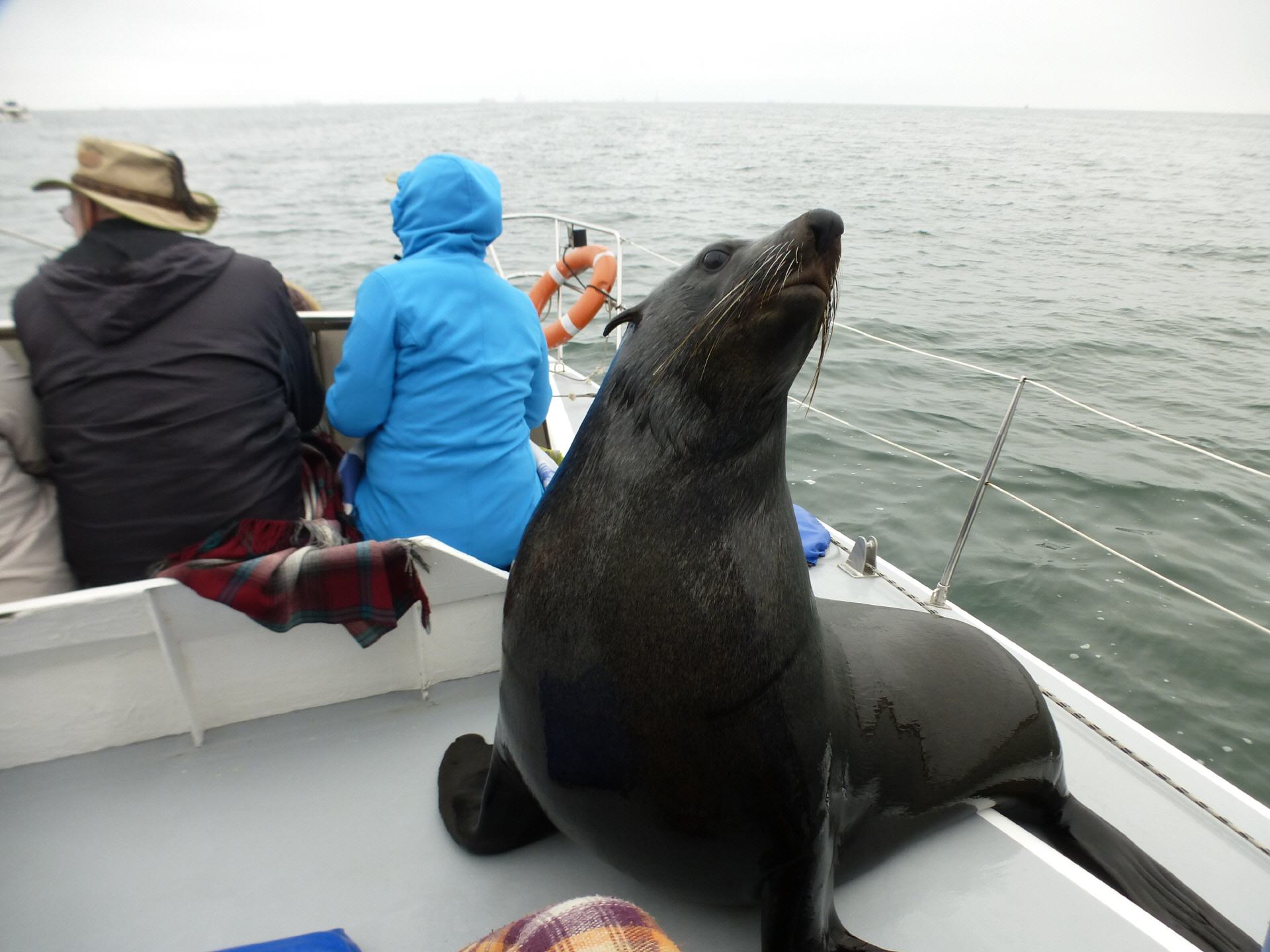 Besuch auf dem Boot